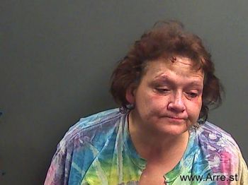 Lucinda Michelle Ferguson Mugshot