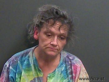 Lucinda Michelle Ferguson Mugshot