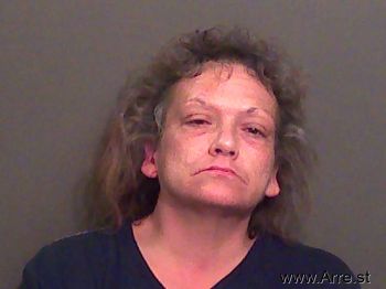 Lucinda Michelle Ferguson Mugshot