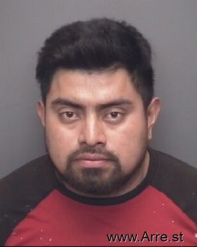 Luis  Perez Mugshot