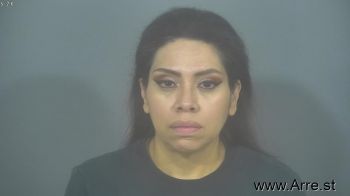 Maria Ines Castaneda Mugshot