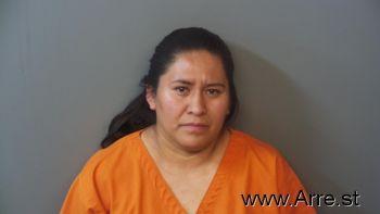 Maria Elana Sanchez Mugshot