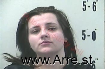 Megan Marie Clemons Mugshot