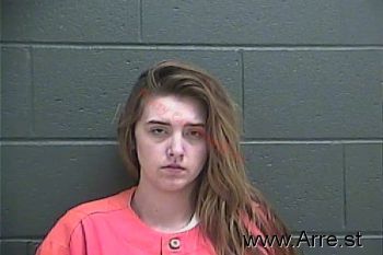 Megan Lashay Cook Mugshot