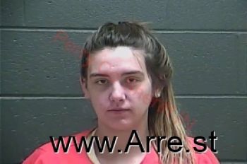 Megan Lashay Cook Mugshot