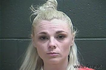 Megan Marie Schneider Mugshot