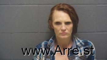 Melissa Ann Riddle Mugshot