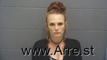 Melissa Ann Riddle Mugshot