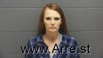 Melissa Ann Riddle Mugshot