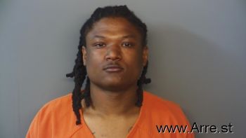 Michael Orlando Ellison Jr Mugshot