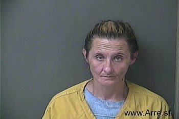 Michele Lynn Mills Mugshot