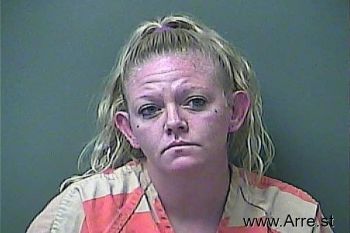 Michelle Lee Lubiniecki Mugshot