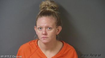 Michelle Lee Lubiniecki Mugshot