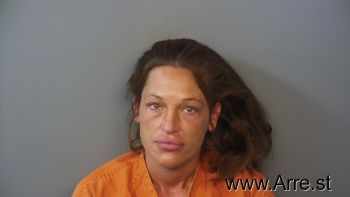 Michelle Ann Parks Mugshot