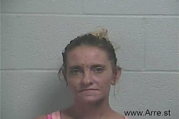 Mindy Ann Culbertson Mugshot