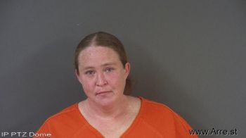 Misty Lynne Anderson Mugshot