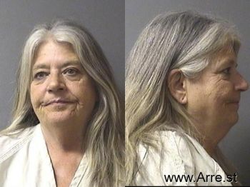 Mary Jo Butler Mugshot