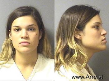 Megan Viviana Clark Mugshot