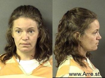 Melissa Diane Riddle Mugshot