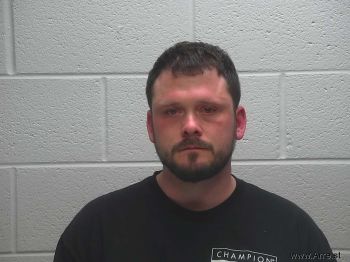 Michael Riley Palmer Mugshot