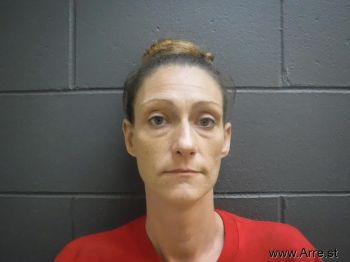 Missy Kay Lee Mugshot