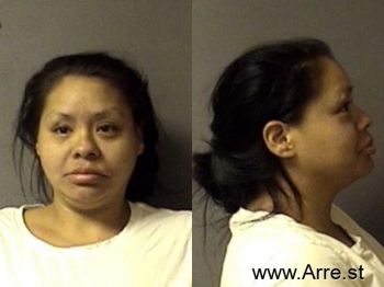 Misty Danielle Johnson Mugshot