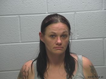 Nicole Renee Swander Mugshot