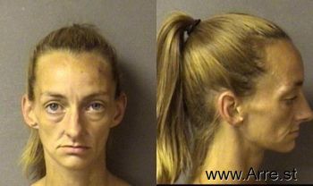 Nicole Lee Wilson Mugshot