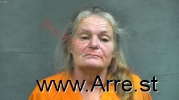 Pamela Anne Davis Mugshot