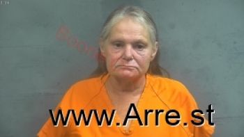 Pamela Anne Davis Mugshot