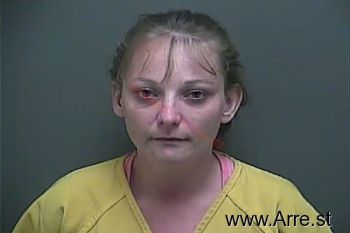 Patricia Ann Howard Mugshot