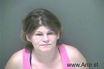 Renee Ann Schmitt Mugshot