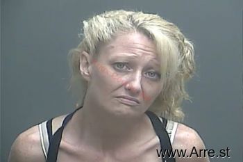 Robin Nicole Baker Mugshot