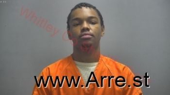 Ryan Trent Wilson  Jr Mugshot