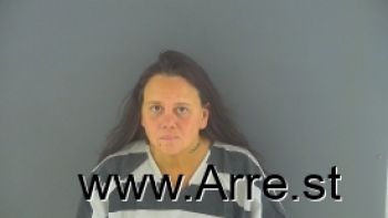 Sara Michelle Hayes Mugshot