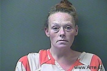 Sara Lynn Nielson Mugshot