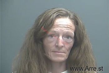 Sarah Dawn Eakins Mugshot