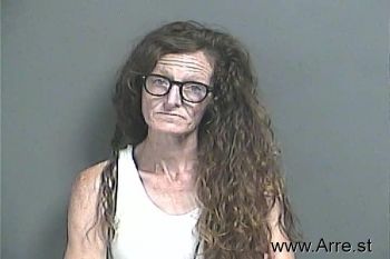 Sarah Dawn Eakins Mugshot