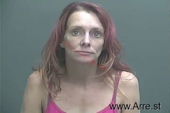 Shandy Jo Wilson Mugshot