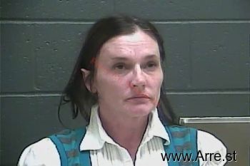 Shannon Faye Blankenship Mugshot