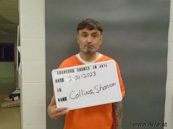 Shannon  Collins Mugshot