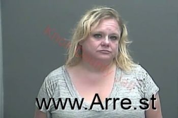 Shannon Renee Palmer Mugshot