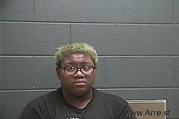 Shawntierra D Cook Mugshot