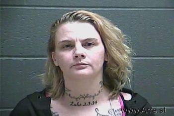 Stephanie Faye Finney Mugshot