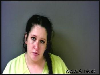 Susan Lynn Risner Mugshot