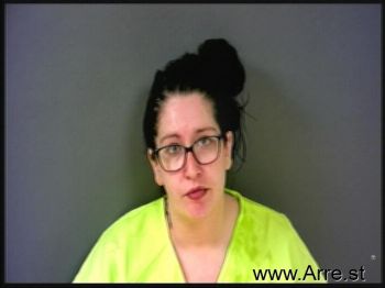 Susan Lynn Risner Mugshot