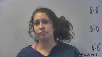 Susan Lynn Risner Mugshot