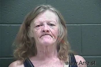 Susanna Marie Adkins Mugshot