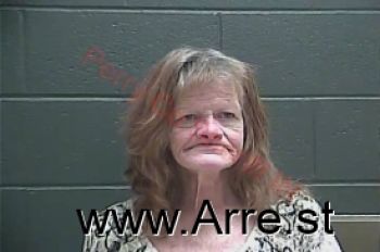 Susanna Marie Adkins Mugshot