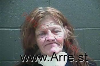 Susanna Marie Adkins Mugshot